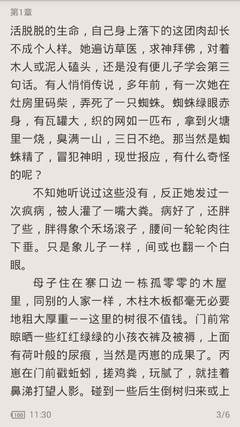 菲律宾移民局签证状态查询？具体查询方法是什么？